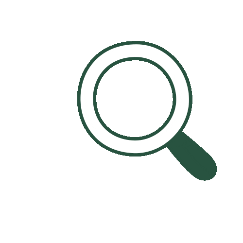 Quarterly insights and analytics for your university