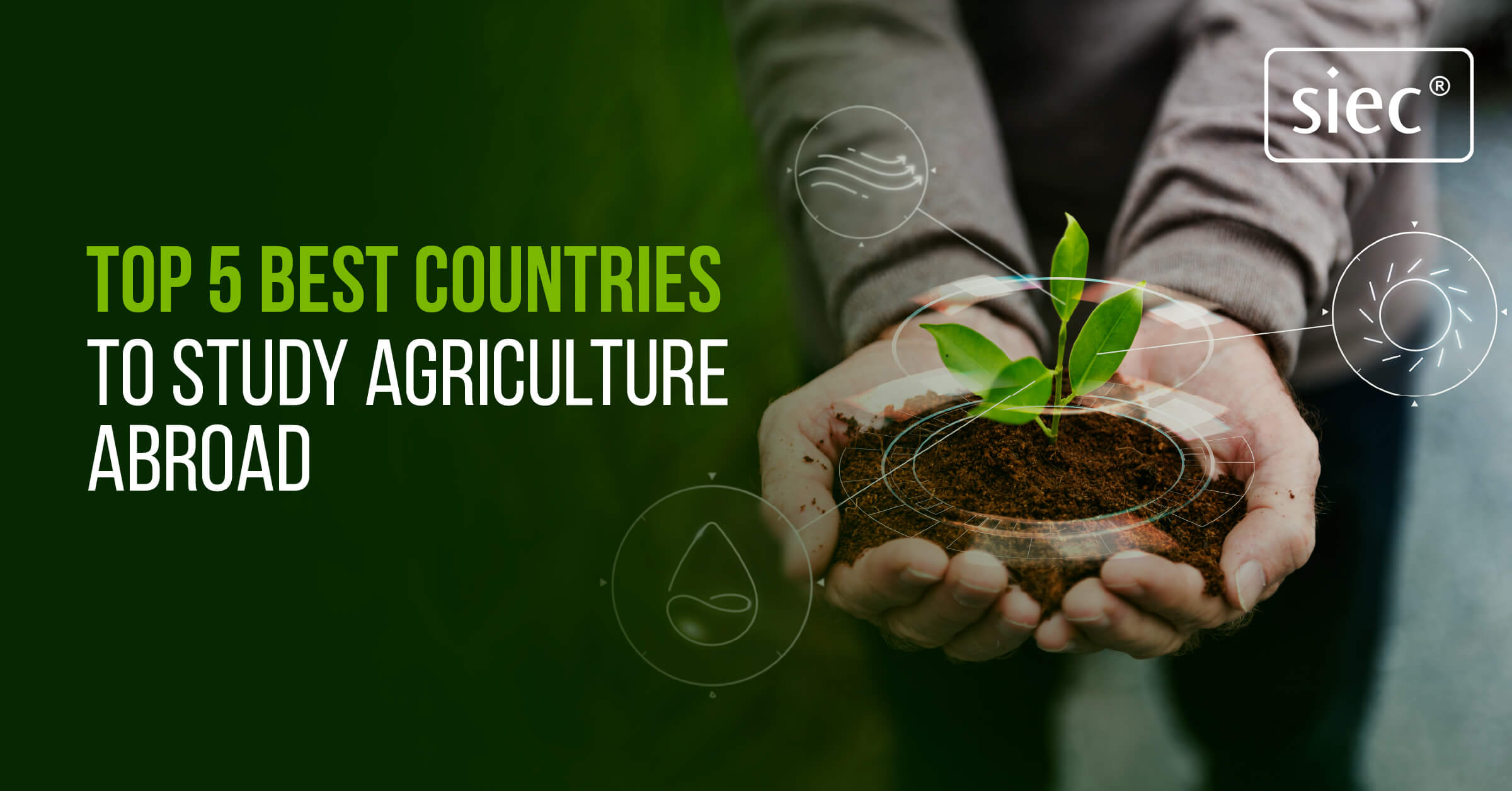 Top 5 Best Countries to Study Agriculture Abroad